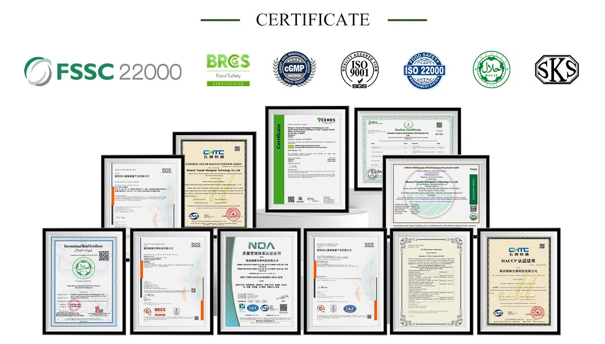 certificate certificate