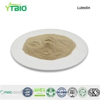 هل مادة 5-HTP مفيدة لصحة الجلد؟